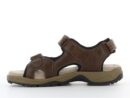 SPROX MEN 527740-BROWN