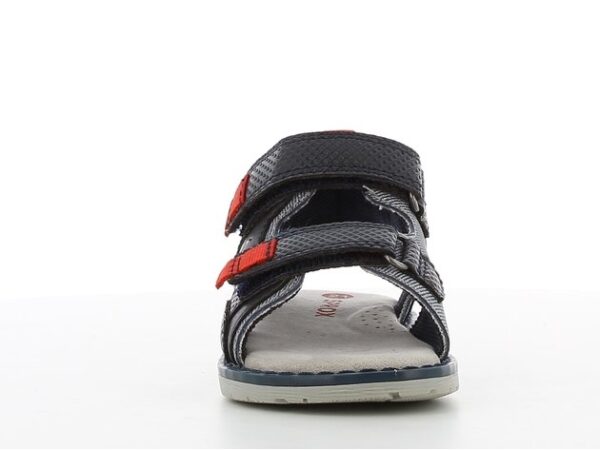 Sprox 558750 NAVY - Image 3